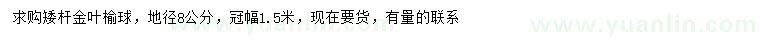 求購地徑8公分金葉榆球