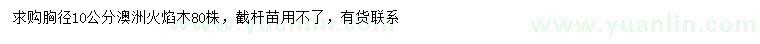 求購(gòu)胸徑10公分澳洲火焰木