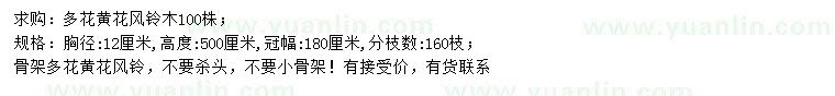 求購胸徑12公分多花黃花風(fēng)鈴木