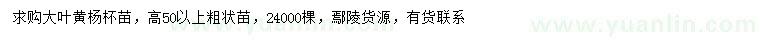 求購高50公分以上大葉黃楊