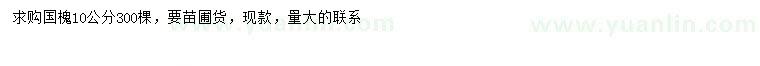 求購10公分國槐