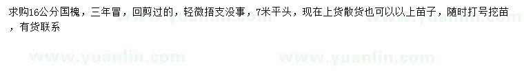 求購16公分國槐