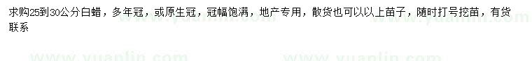 求購25-30公分白蠟