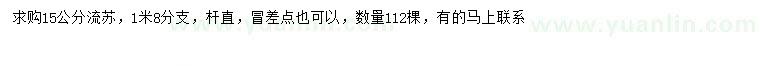 求購15公分流蘇