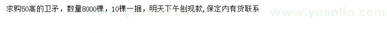 求購高50公分衛(wèi)矛