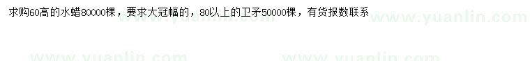 求購(gòu)高60公分水蠟、80公分以上衛(wèi)矛