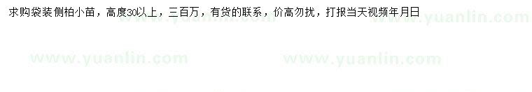 求購高30公分以上側柏