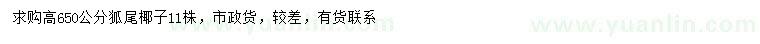 求購(gòu)高650公分狐尾椰子