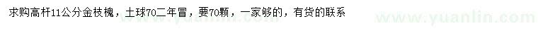 求購(gòu)11公分高桿金枝槐