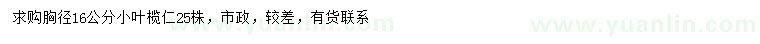求購胸徑16公分小葉欖仁