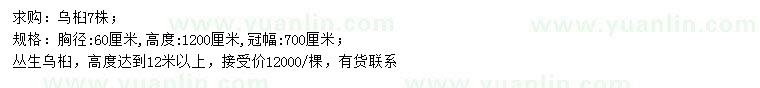 求購(gòu)胸徑60公分叢生烏桕