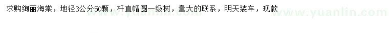 求購地徑3公分絢麗海棠