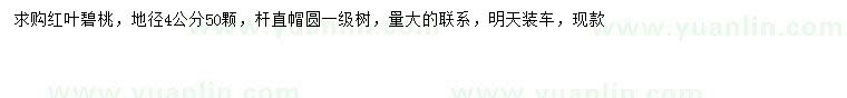 求購地徑4公分紅葉碧桃