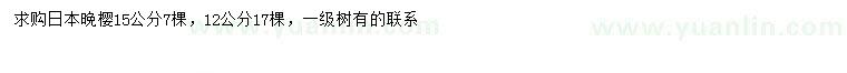 求購15公分日本晚櫻