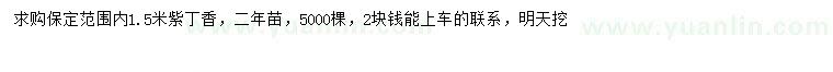 求購(gòu)1.5米紫丁香