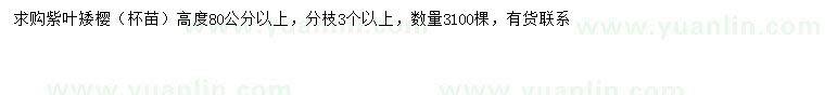 求購高80公分以上紫葉矮櫻