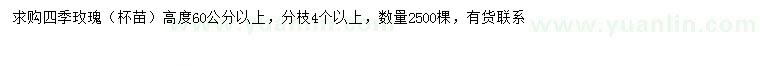 求購高60公分以上四季玫瑰