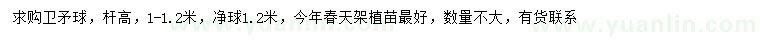 求購1-1.2米衛(wèi)矛球
