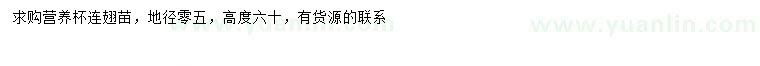 求購高60公分連翅