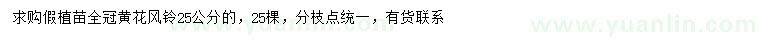 求購25公分黃花風鈴木