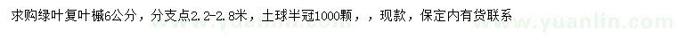 求購(gòu)6公分綠葉復(fù)葉槭
