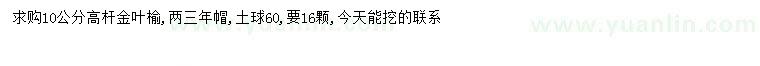 求購(gòu)10公分高桿金葉榆