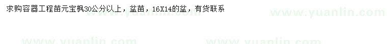 求購30公分以上元寶楓