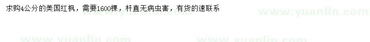 求購4公分美國紅楓