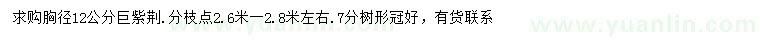 求購胸徑12公分巨紫荊