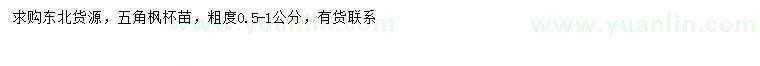求購0.5-1公分五角楓