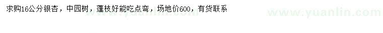 求購16公分銀杏