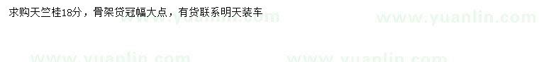 求購18公分天竺桂