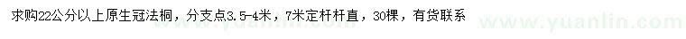 求購22公分以上法桐