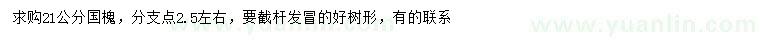 求購(gòu)21公分國(guó)槐