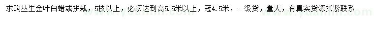 求購冠幅4.5米叢生金葉白蠟
