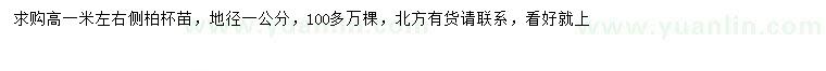 求購(gòu)高1米左右側(cè)柏