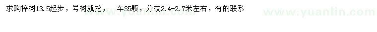 求購13.5公分以上櫸樹
