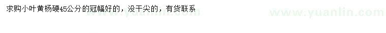 求購(gòu)45公分小葉黃楊