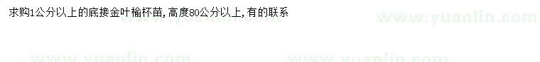 求購1公分以上金葉榆