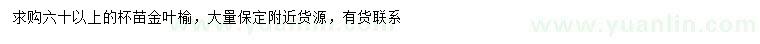 求購(gòu)60公分以上金葉榆