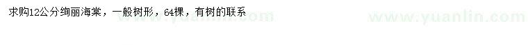 求購(gòu)12公分絢麗海棠