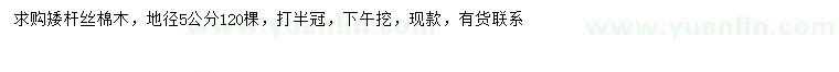 求購地徑5公分絲棉木