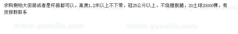 求購(gòu)高1.2米以上側(cè)柏