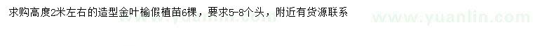 求購高2米左右造型金葉榆
