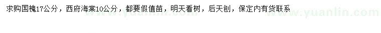 求購17公分國槐