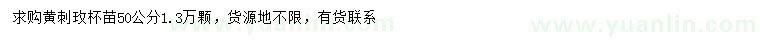求購(gòu)50公分黃刺玫