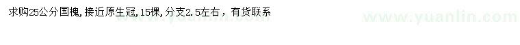求購25公分國槐