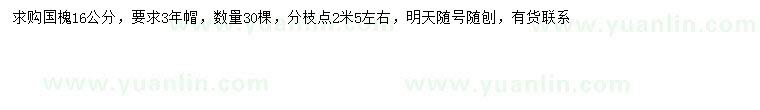 求購16公分國槐