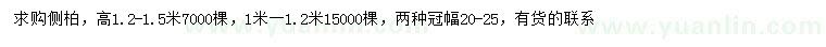 求購高1-1.2、1.2-1.5米側(cè)柏