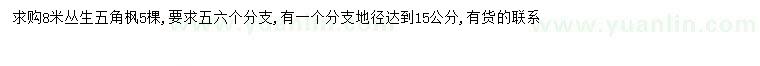 求購8米叢生五角楓